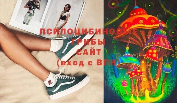не бодяженный Арсеньев