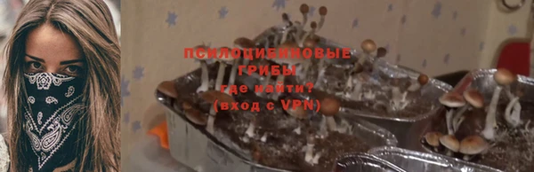 не бодяженный Арсеньев