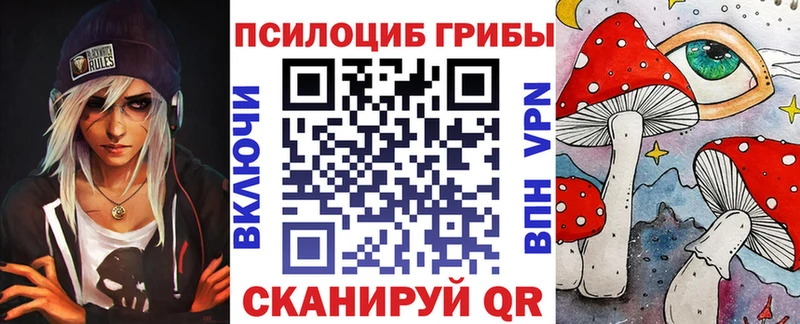 Галлюциногенные грибы Psilocybine cubensis где продают наркотики Оханск